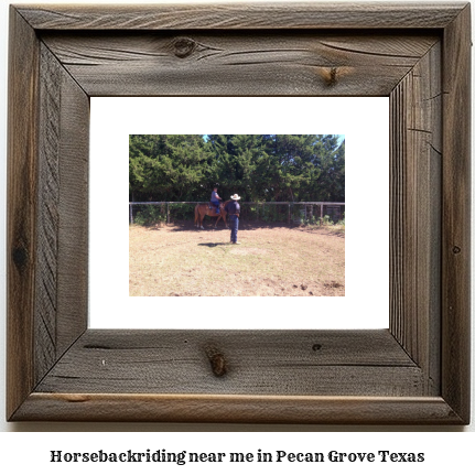 horseback riding near me in Pecan Grove, Texas